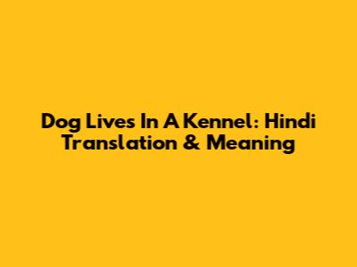 Dog Lives In A Kennel: Hindi Translation & Meaning