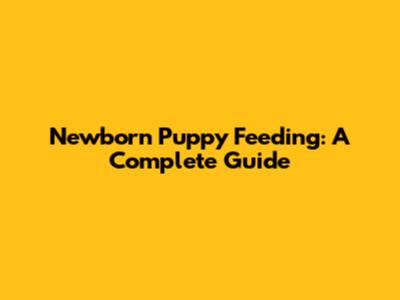 Newborn Puppy Feeding: A Complete Guide