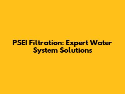 PSEI Filtration: Expert Water System Solutions