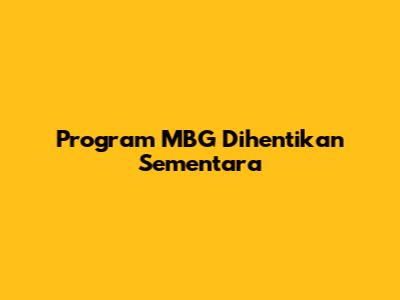 Program MBG Dihentikan Sementara